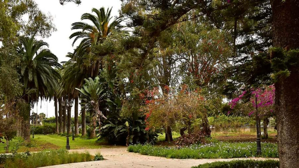 La Médina de Rabat